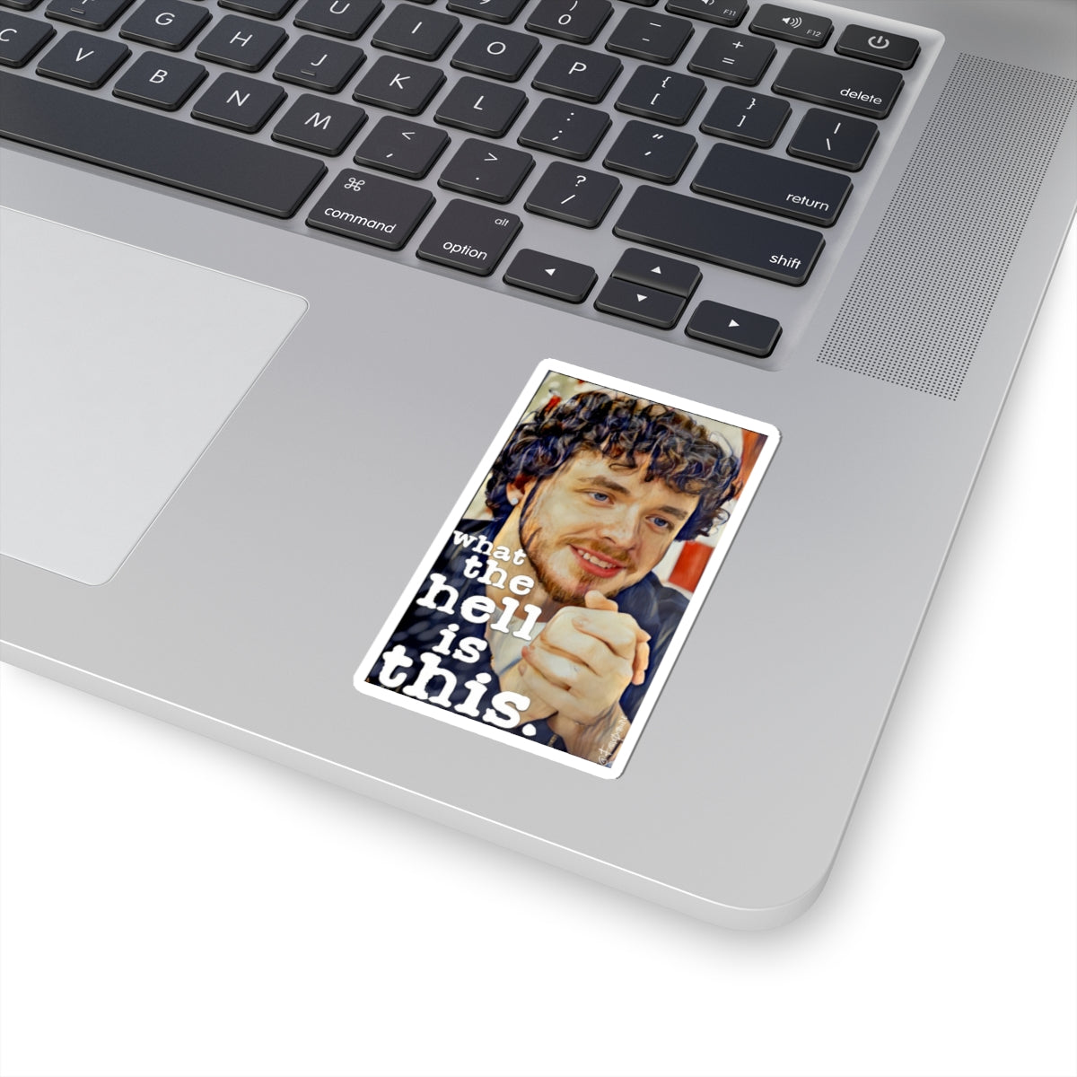 The Smile as Interrogation - Sticker