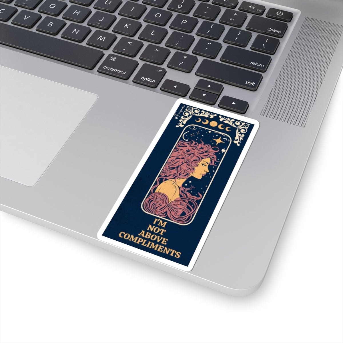Celestial Hair, Terrestrial Ego - Sticker