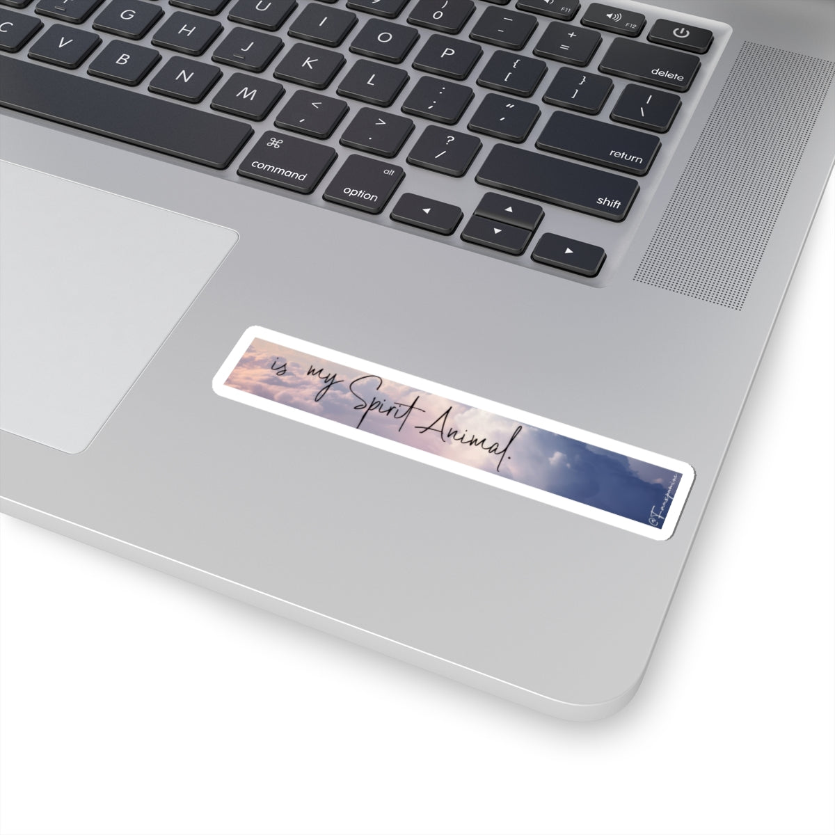 Literally Anything - Sticker