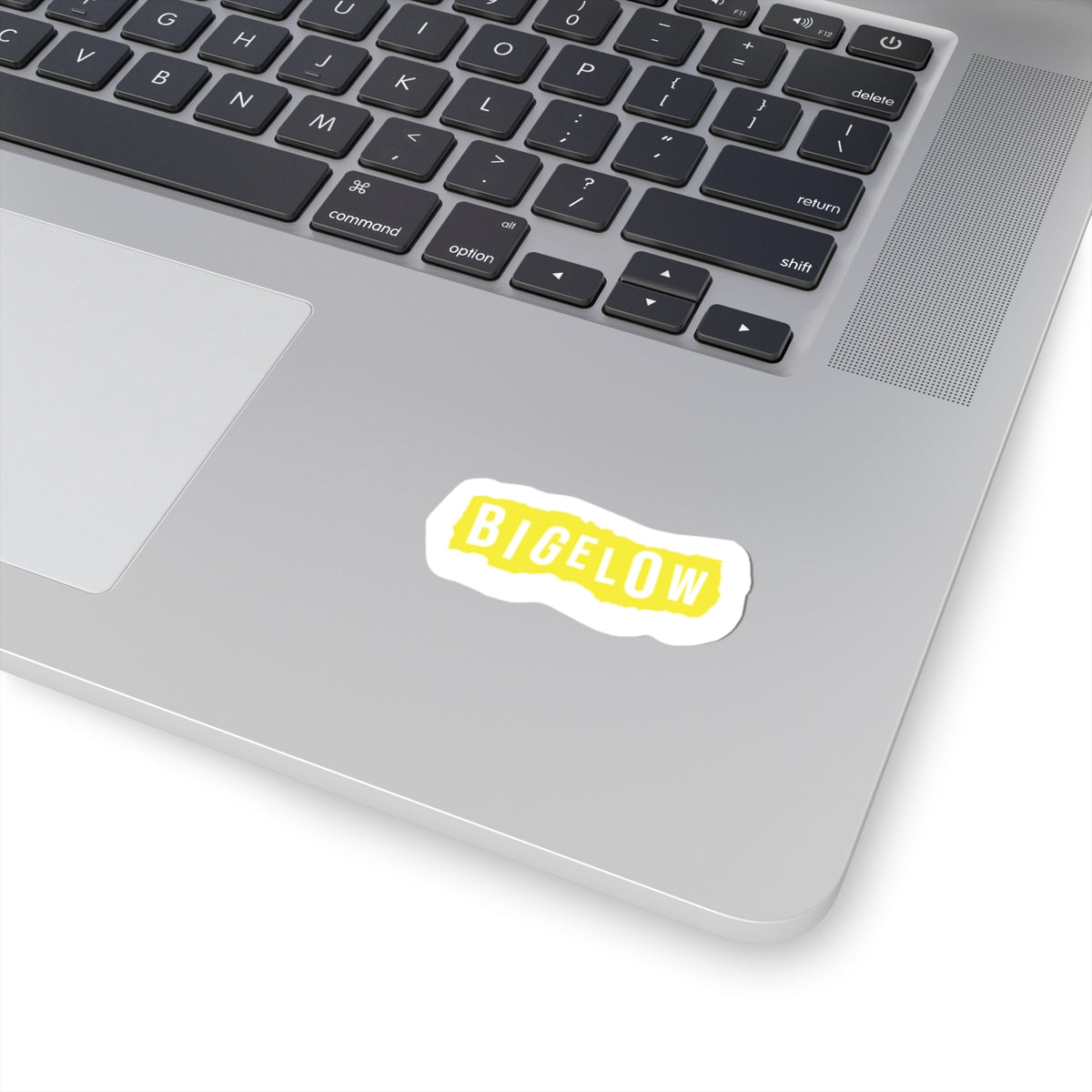 Kathryn Bigelow X Blondie - Sticker