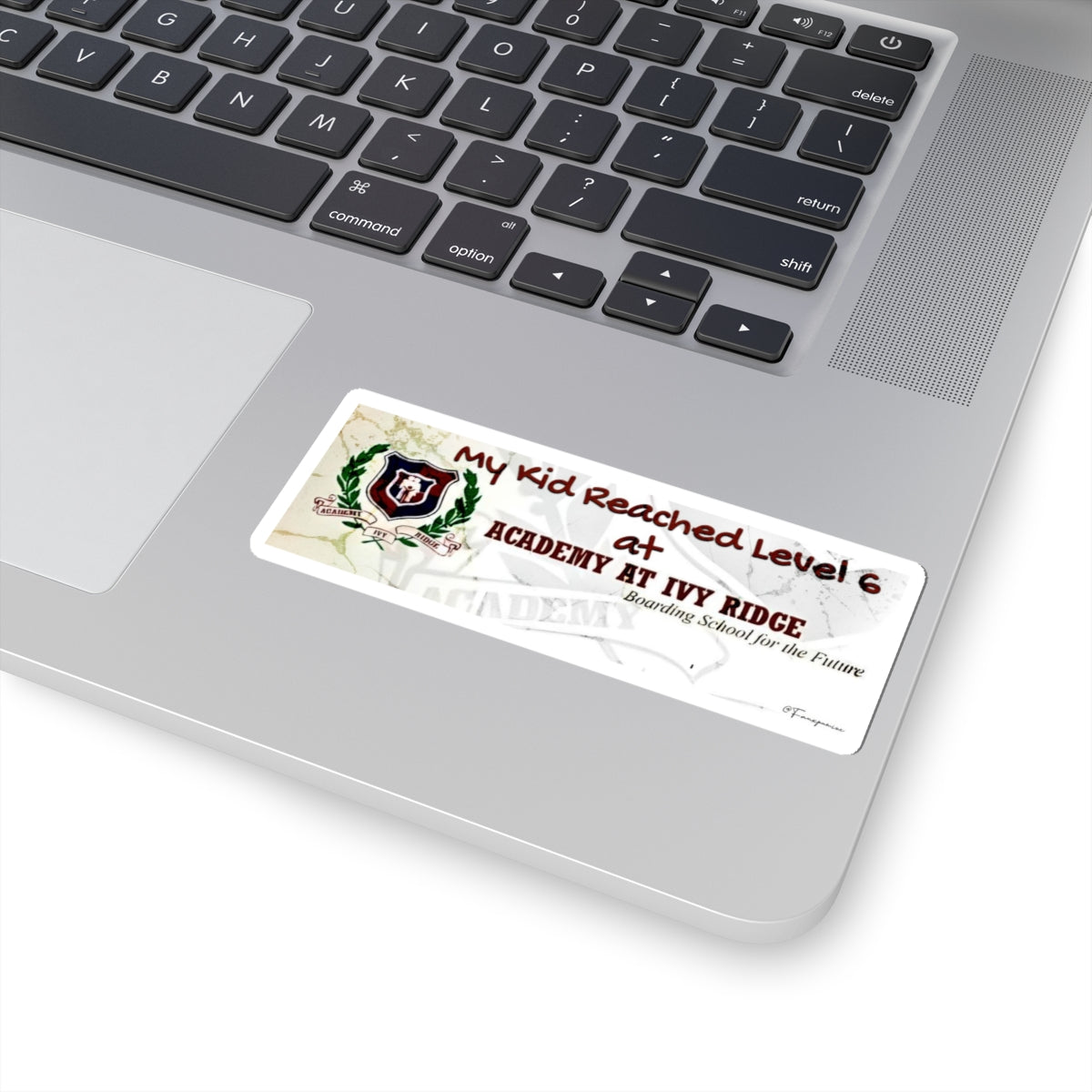 Level 6 at Ivy Ridge - Sticker