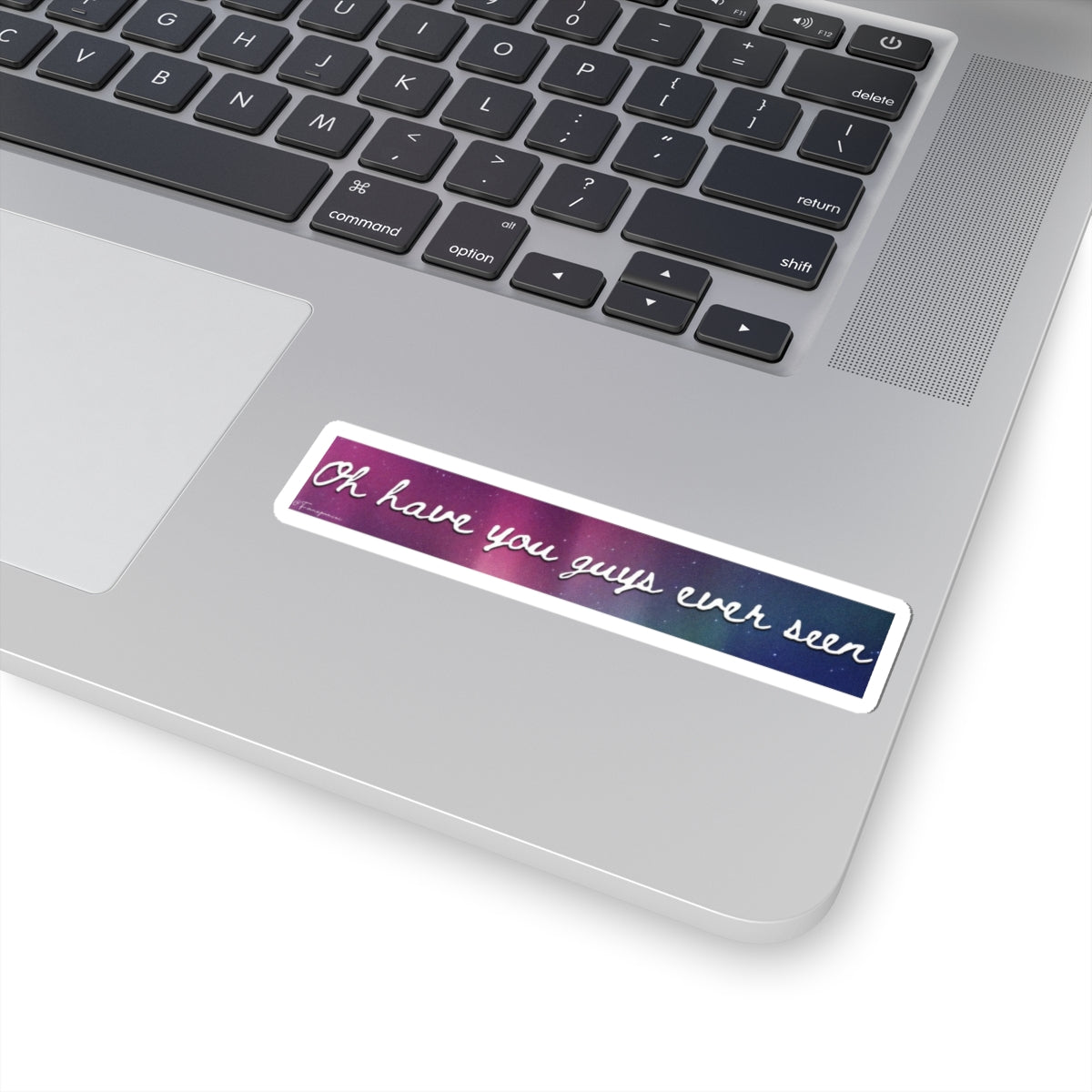 Oh Have You Guys Ever Seen - Sticker