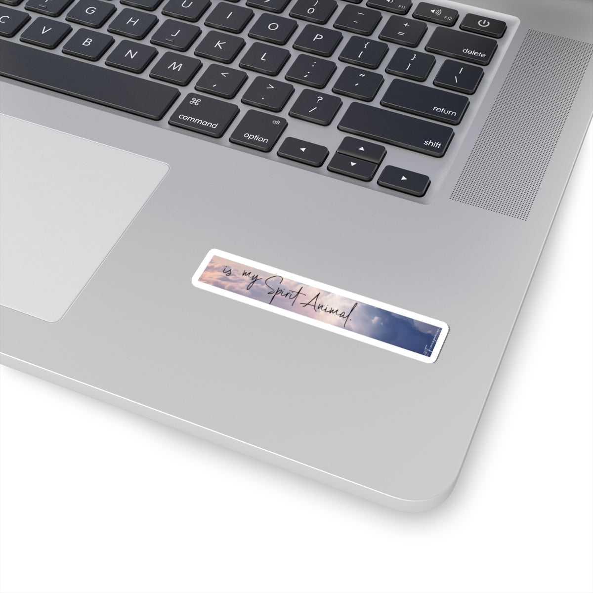 Literally Anything - Sticker