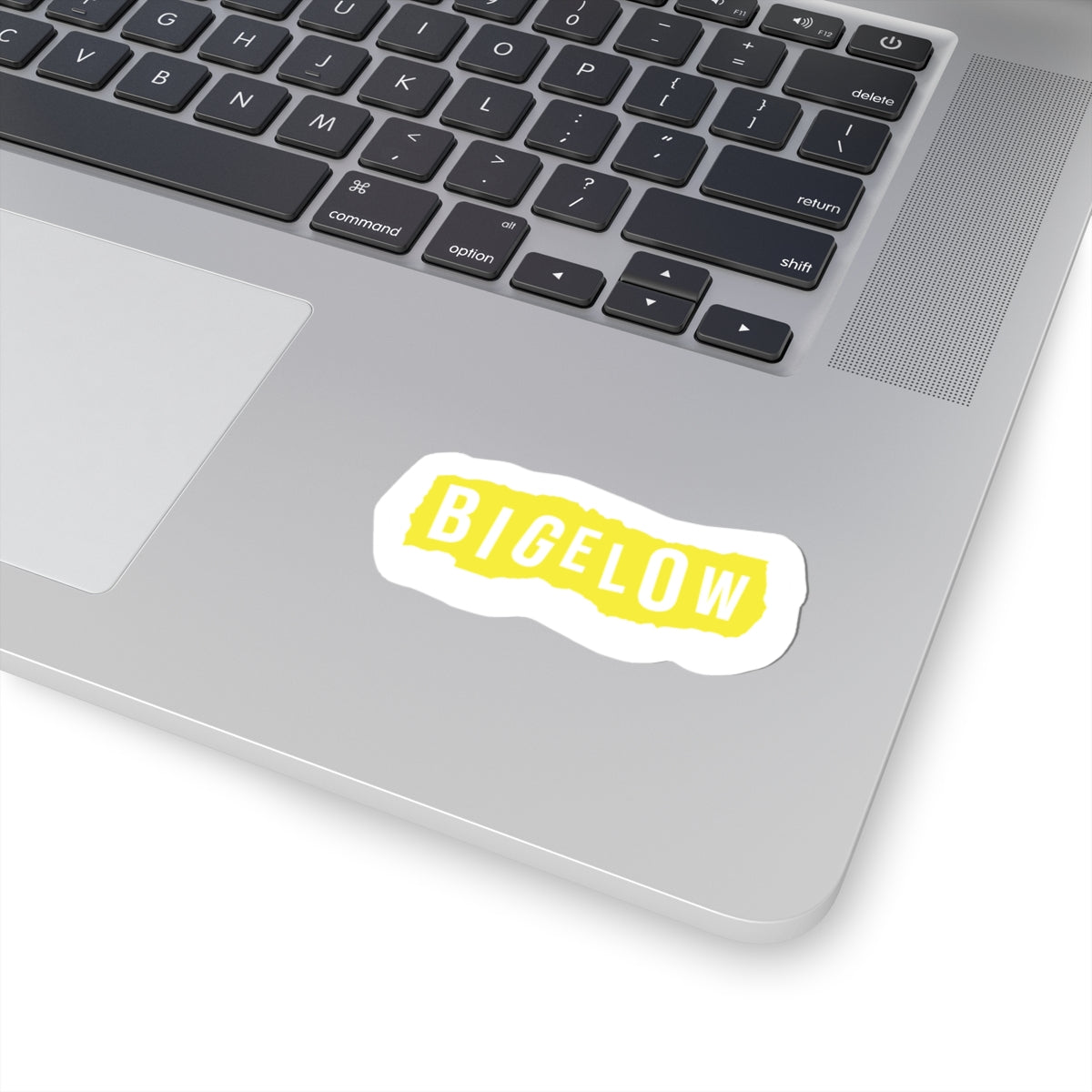 Kathryn Bigelow X Blondie - Sticker