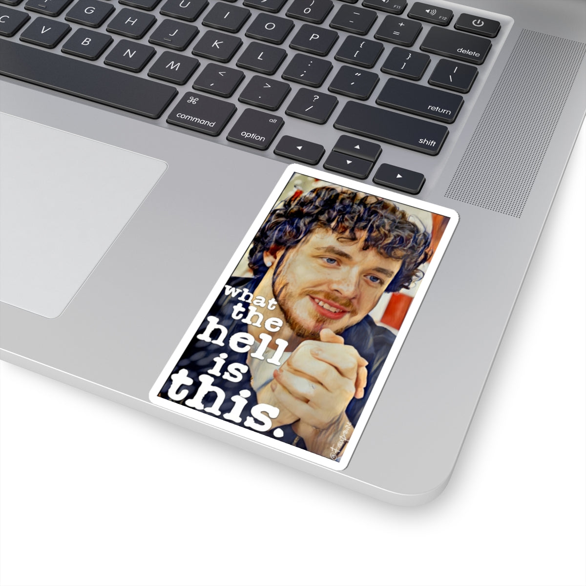 The Smile as Interrogation - Sticker
